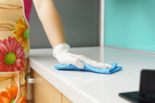 Professional steam carpet cleaning in a living room