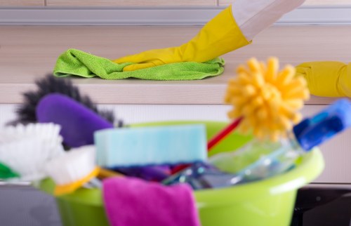 Seasonal carpet cleaning service for a stylish interior