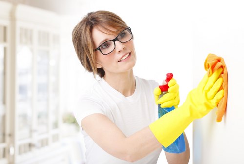 Different types of sofas benefiting from upholstery cleaning in Holland Park