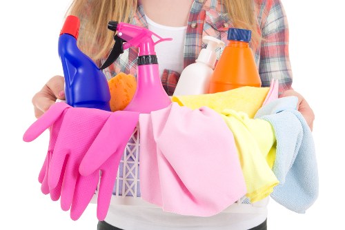 Home carpet cleaning for pet stain odour removal