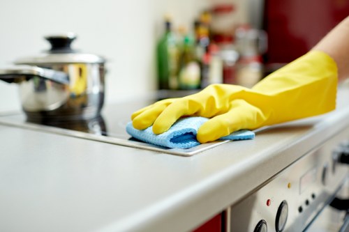 Enzyme cleaner used for removing pet odours