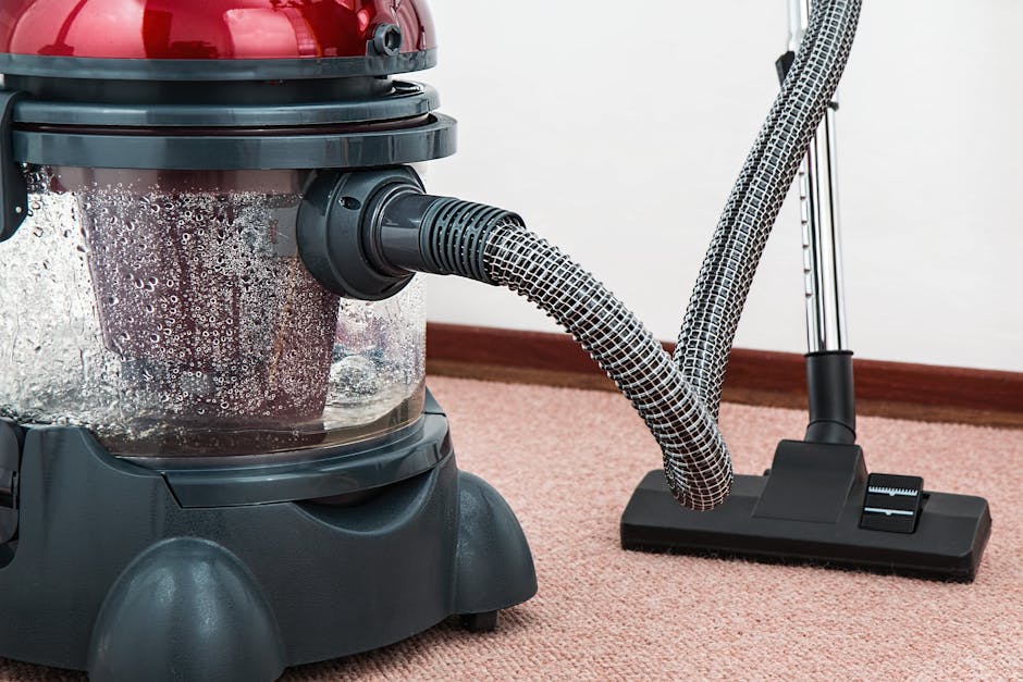 A close-up view of a canister vacuum cleaner with a transparent dust container filled with debris, connected to a flexible, black-and-white patterned hose and a long, metal wand. The vacuum is positioned on a pinkish-beige carpeted floor in a residential room with a white wall and wooden baseboard in the background. The vacuum appears to be in use for surface cleaning, with visible condensation on the container indicating activity. The scene suggests a thorough domestic cleaning process, emphasizing hygiene and maintenance tasks, with the vacuum from Holland Park Carpet Cleaners perfect for deep cleaning and sanitisation of carpets.